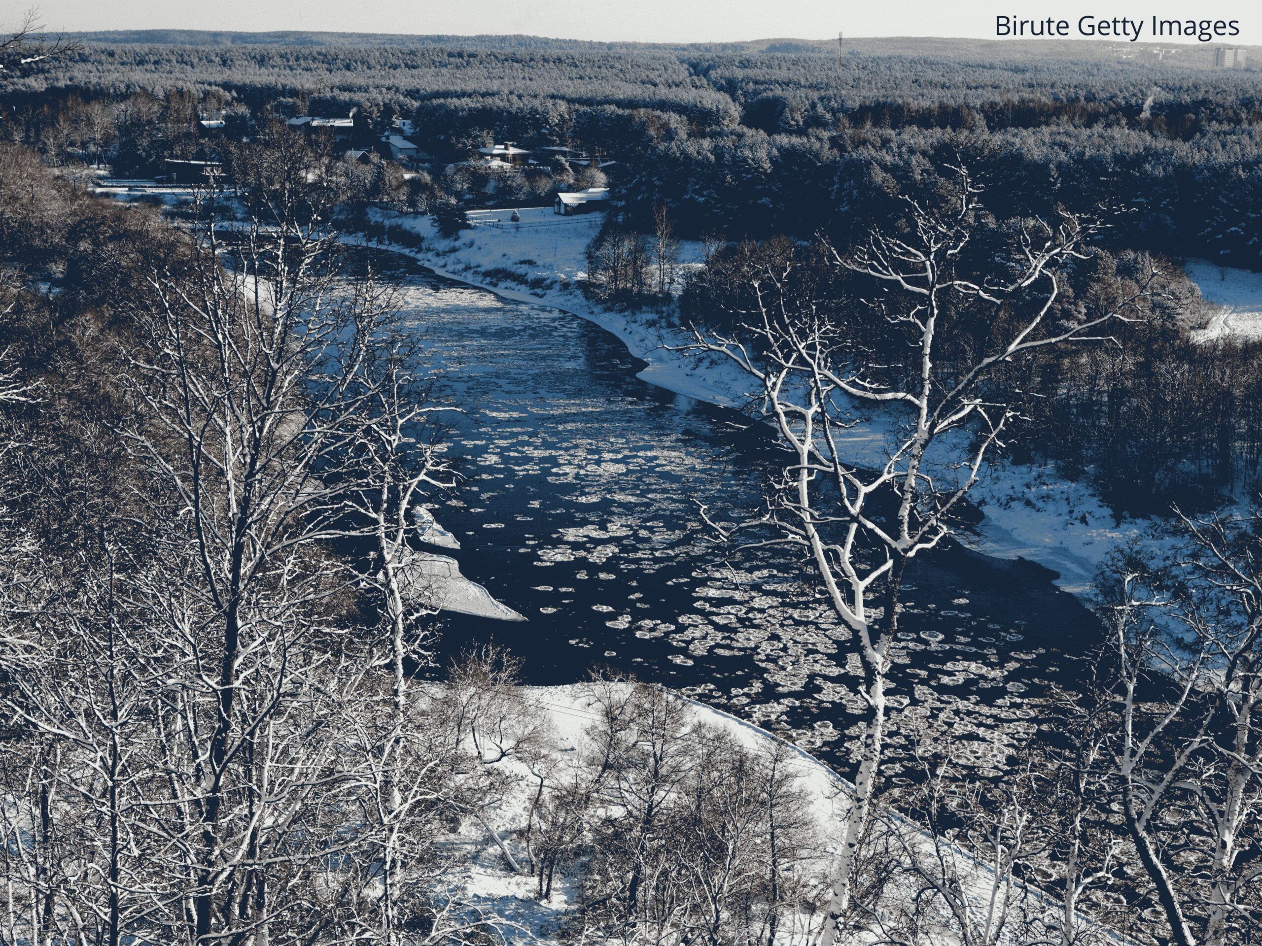 Save the Vilija–Neris River and the Wild Baltic Salmon: Stop Nuclear Risks and Military Ecological Destruction