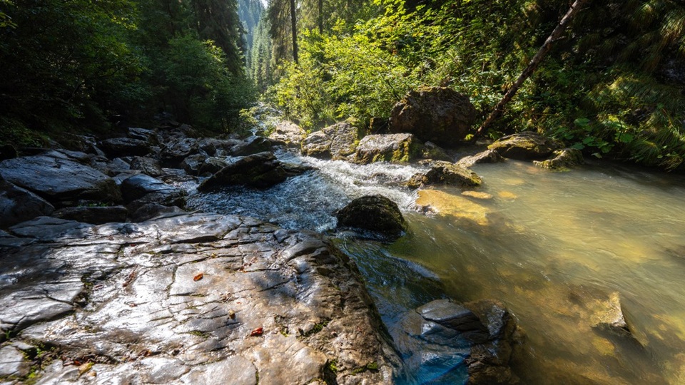 Let rivers run! Romania’s water management at a crossroads