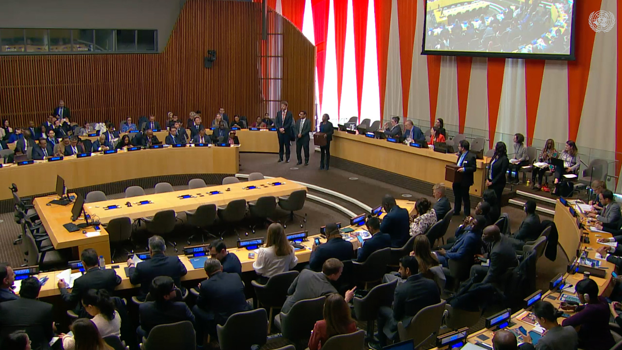 Uncompetitive election lands 13 States with troubled relationship with civil society at the UN Committee on NGOs