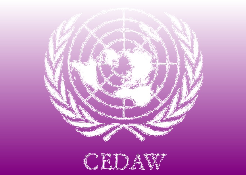 “Our House” and “Adliga” CEDAW submissions officially published by OHCHR